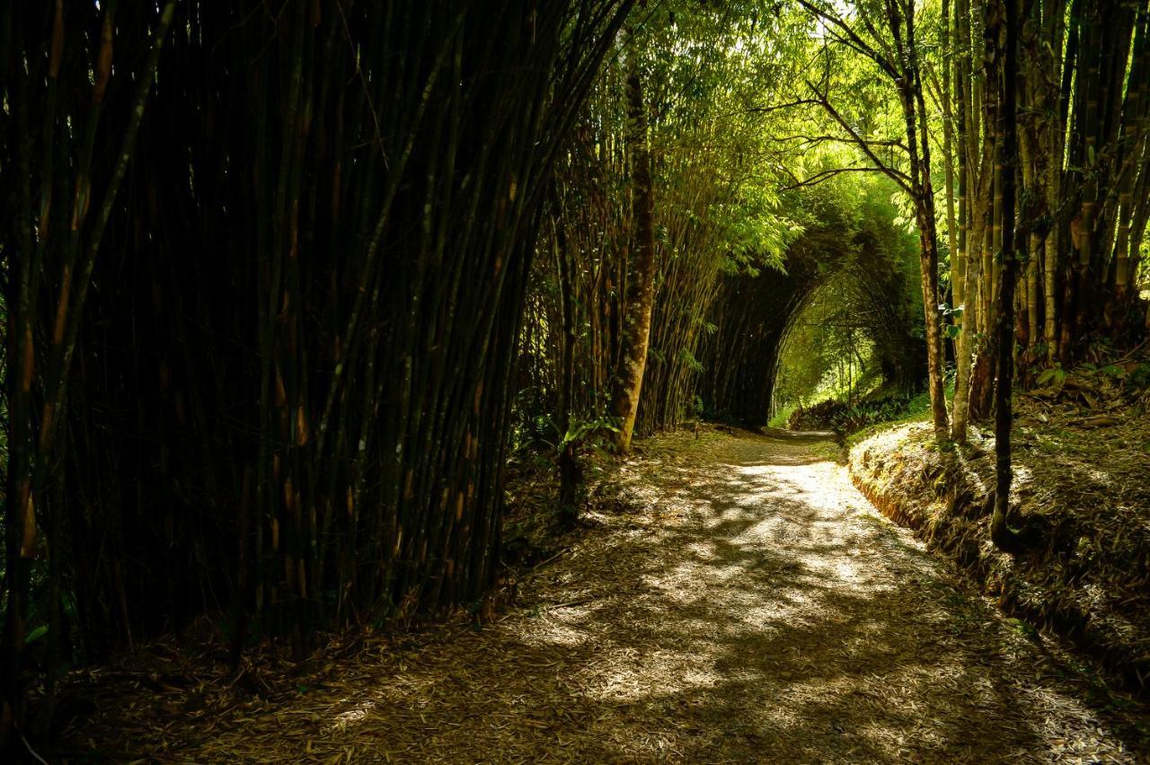 Talamanca Nature Reserve Rivas Buitenkant foto