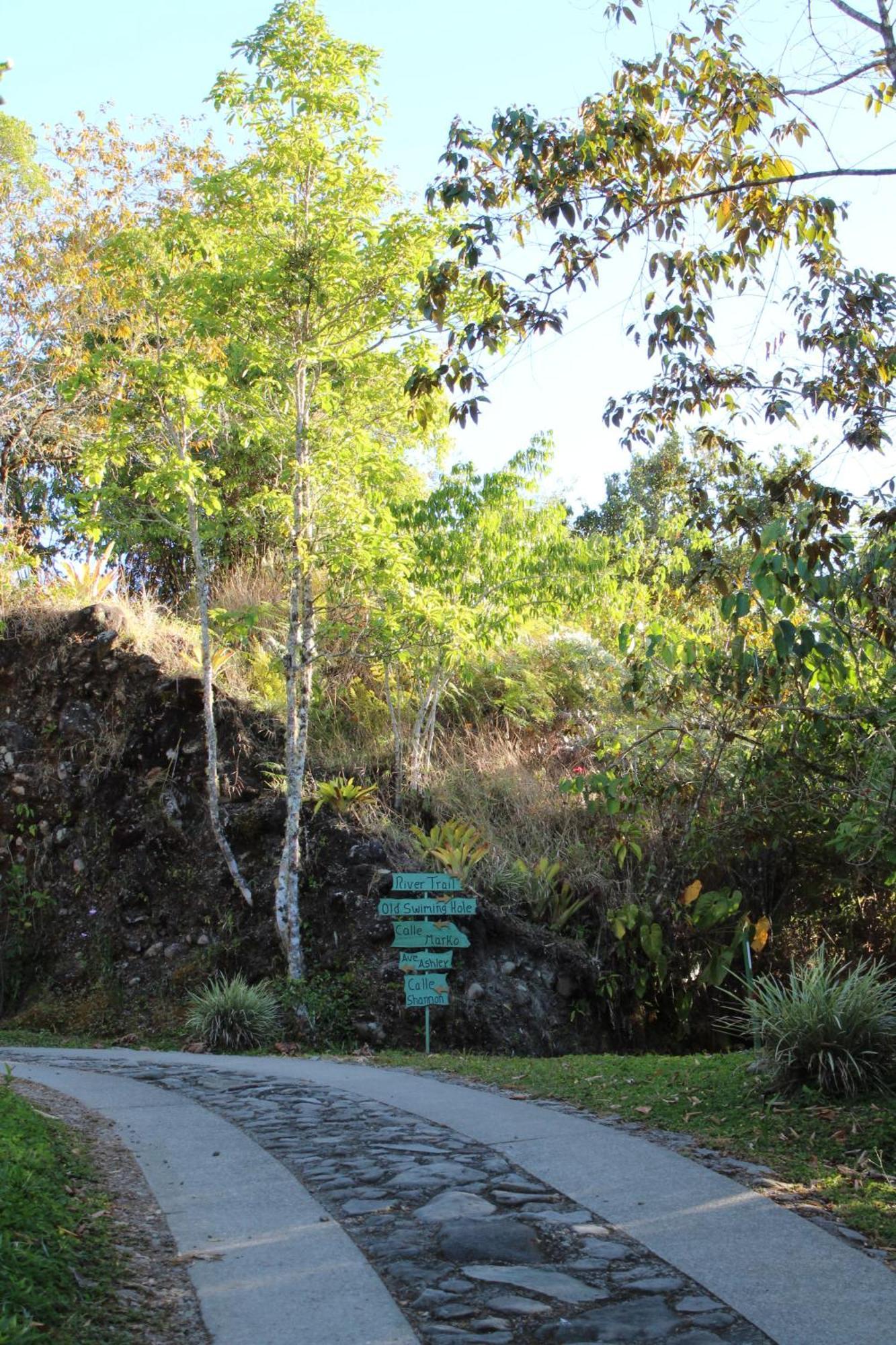 Talamanca Nature Reserve Rivas Buitenkant foto
