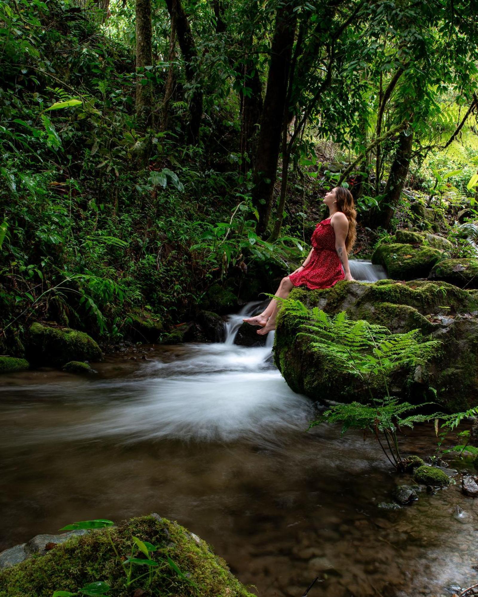 Talamanca Nature Reserve Rivas Buitenkant foto