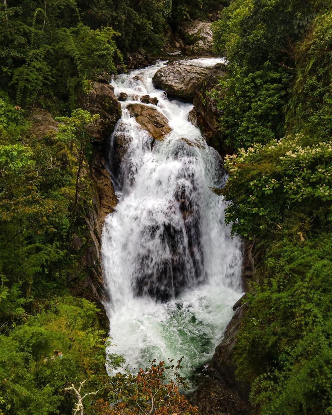 Talamanca Nature Reserve Rivas Buitenkant foto