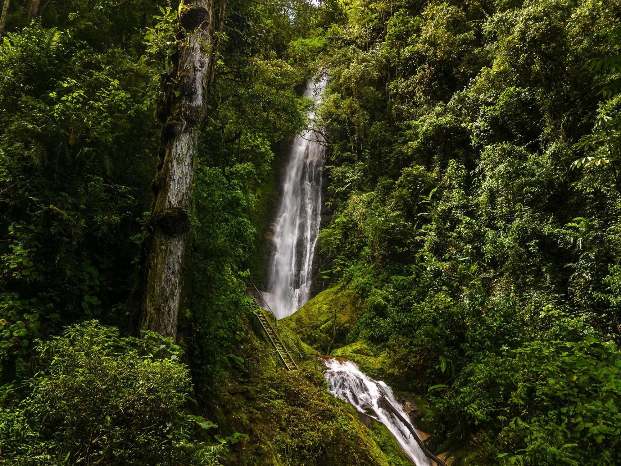 Talamanca Nature Reserve Rivas Buitenkant foto