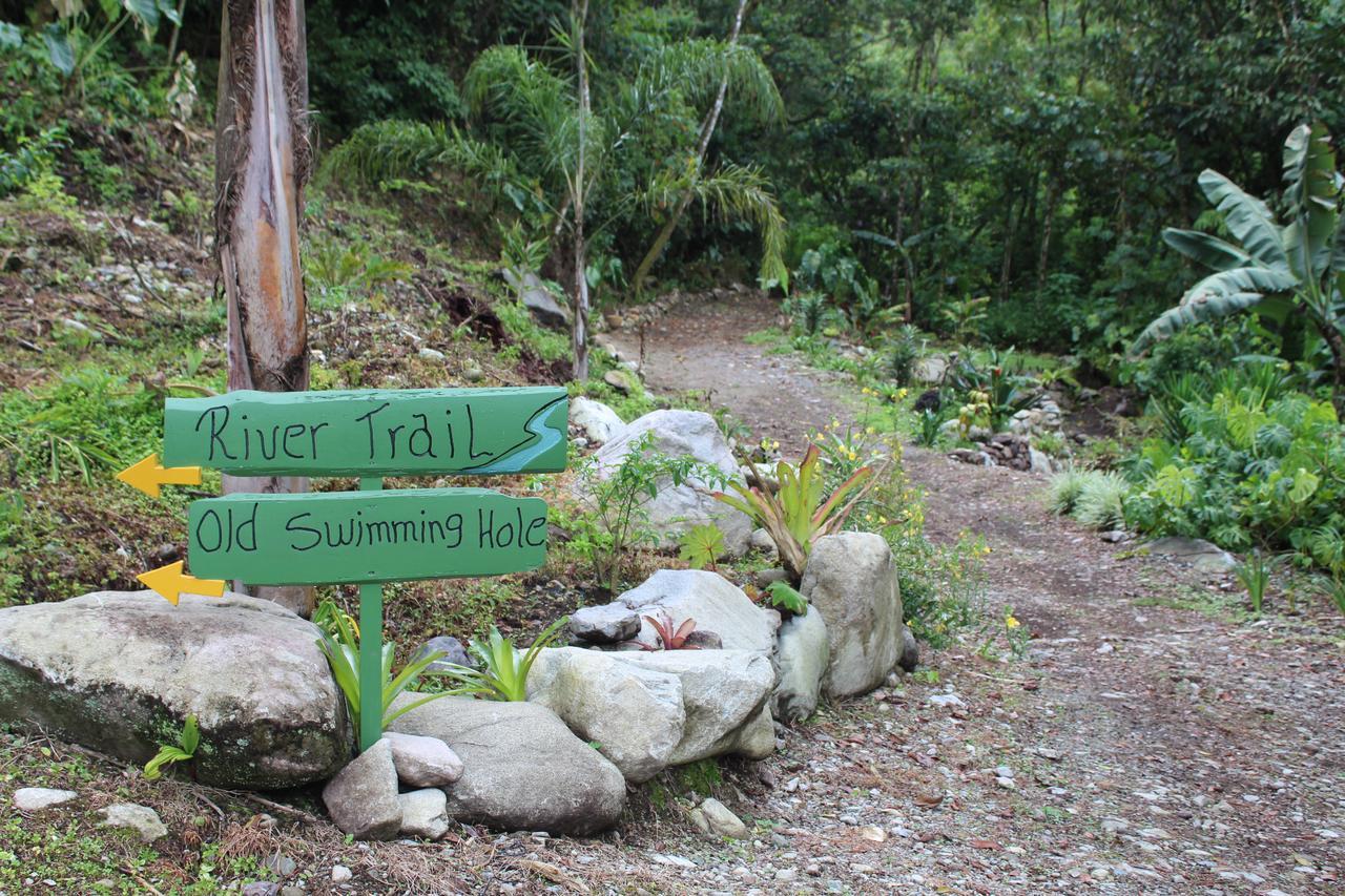 Talamanca Nature Reserve Rivas Buitenkant foto