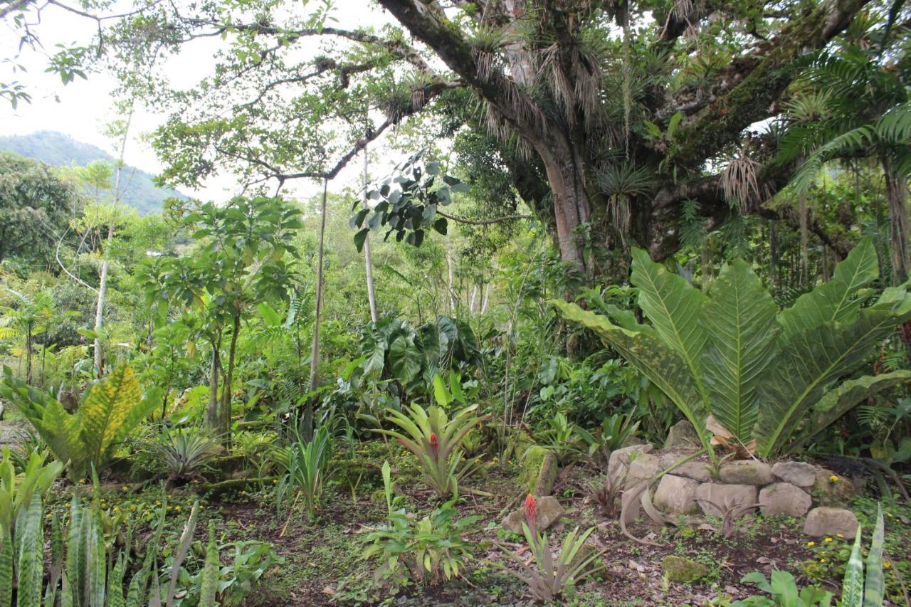Talamanca Nature Reserve Rivas Buitenkant foto