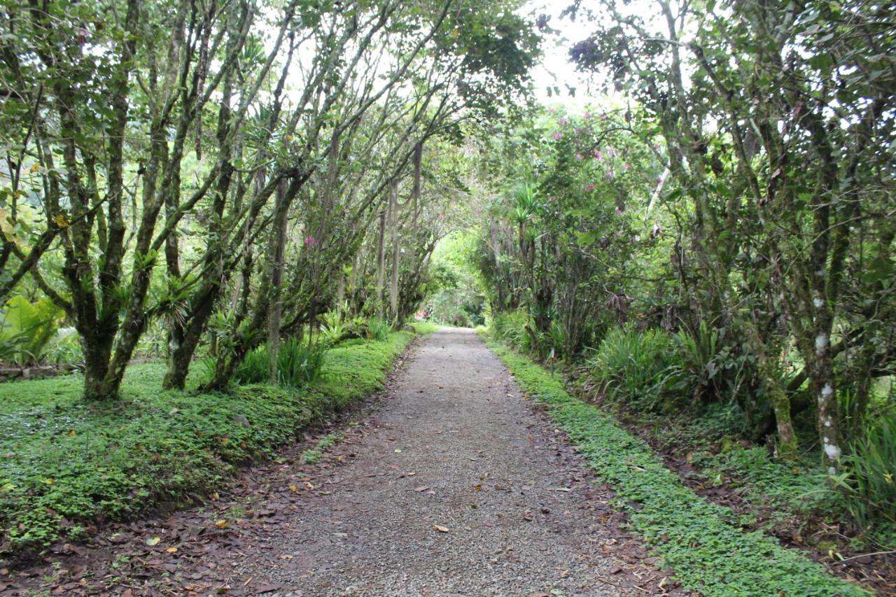 Talamanca Nature Reserve Rivas Buitenkant foto